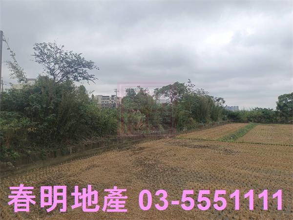 新竹農地-3