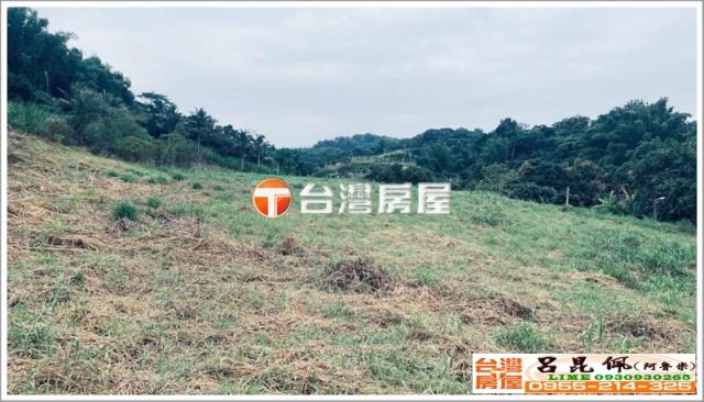 中埔農地-2