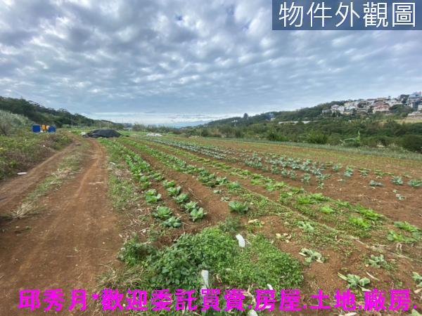 淡水農地-4
