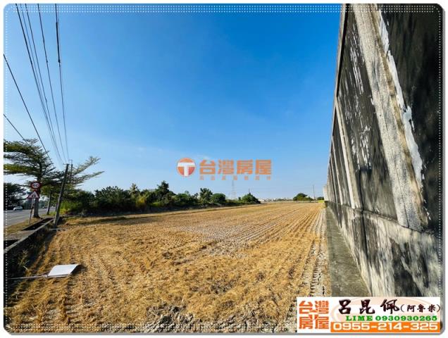 大林農地-1