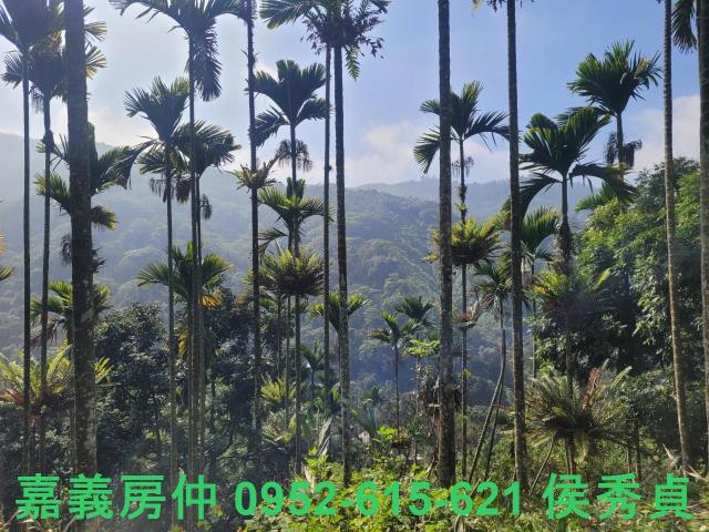 番路農地-10