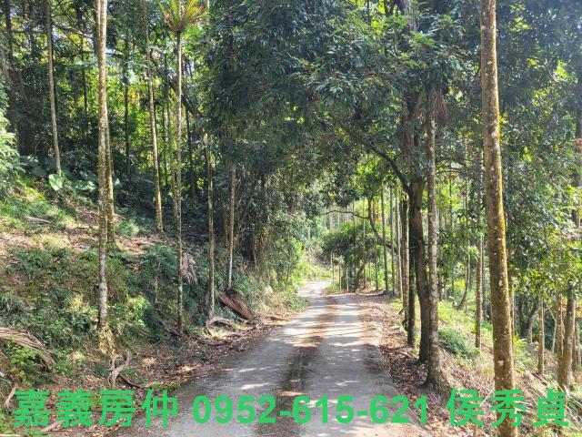 番路農地-12