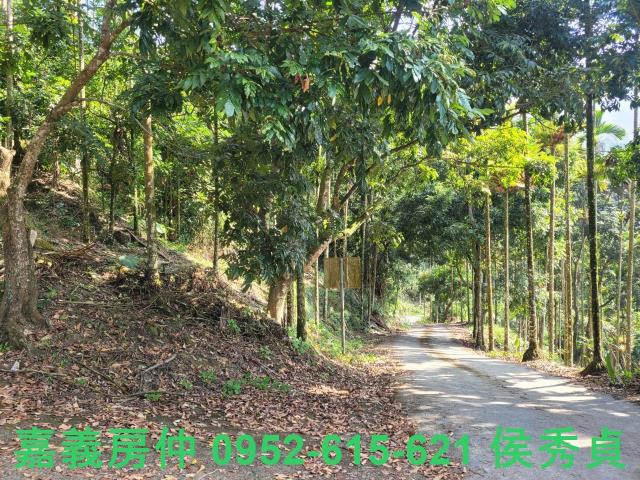 番路農地-8