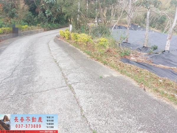 西湖農地-3