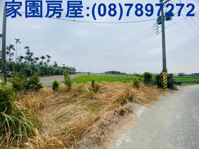 屏東新園農地-8