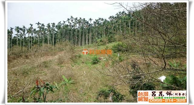 中埔農地-1