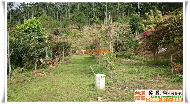 中埔農地-4