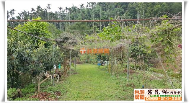 中埔農地-8