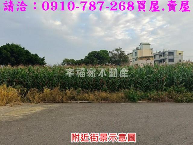 台南農地-13