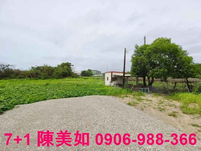 高雄大社農地-0