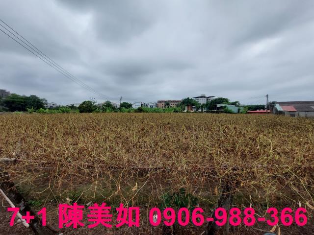 高雄大社農地-0