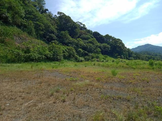 龜山工業地-2