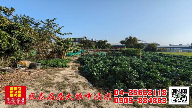 西屯農地-4