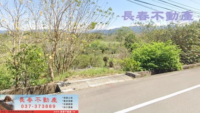 8F193老雞隆田