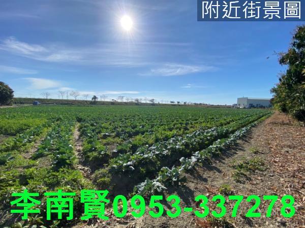 台南仁德農地-8