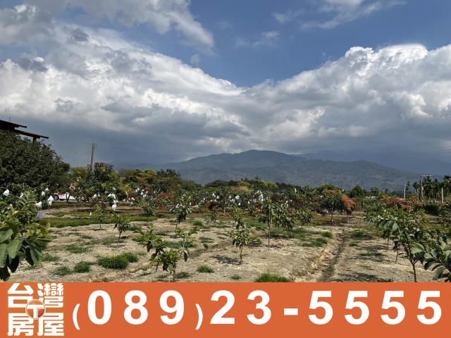 內埔農地-7