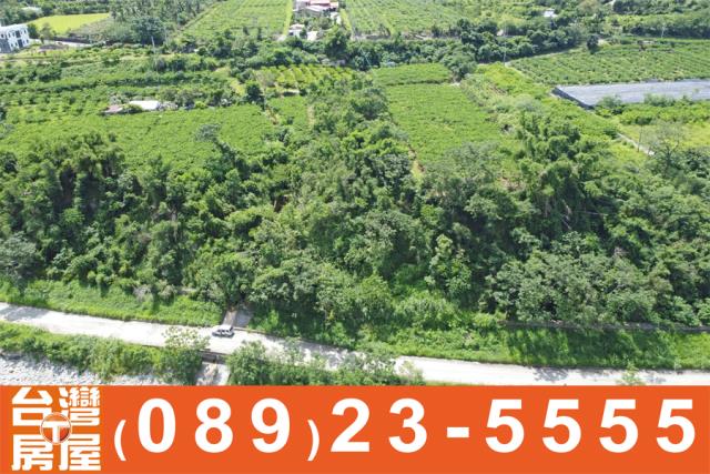 卑南農地-4