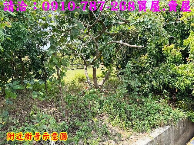 山上農地-10
