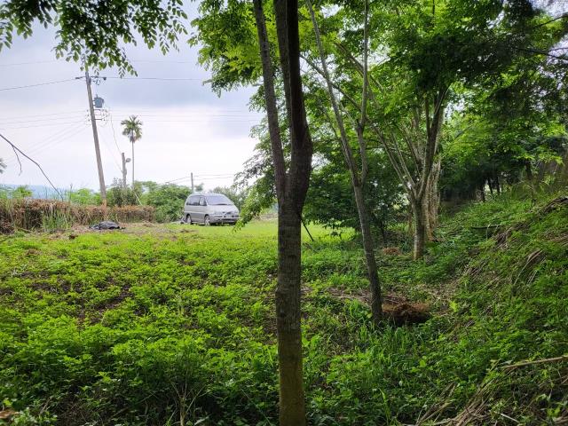 台中東勢農地-5