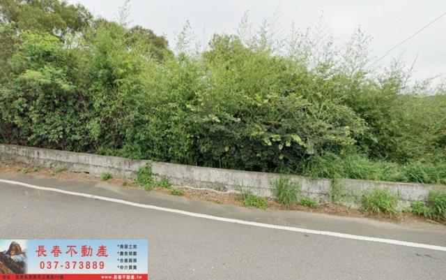苗栗通霄農地-0