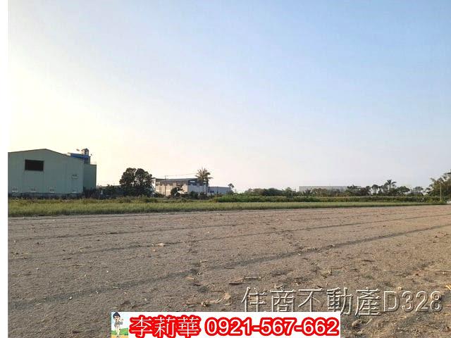安南農地-9