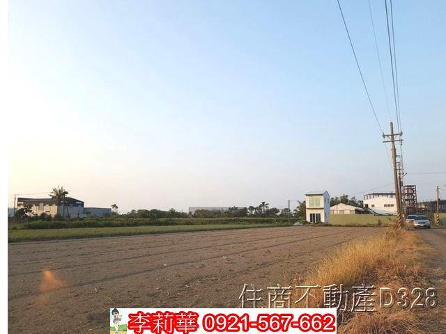 安南農地-6