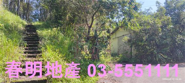 橫山農地-2