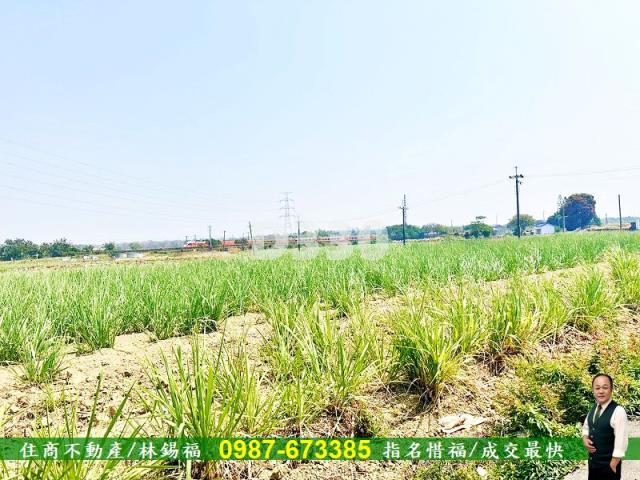 湖內農地-1