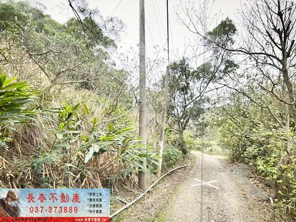 通霄農地-4