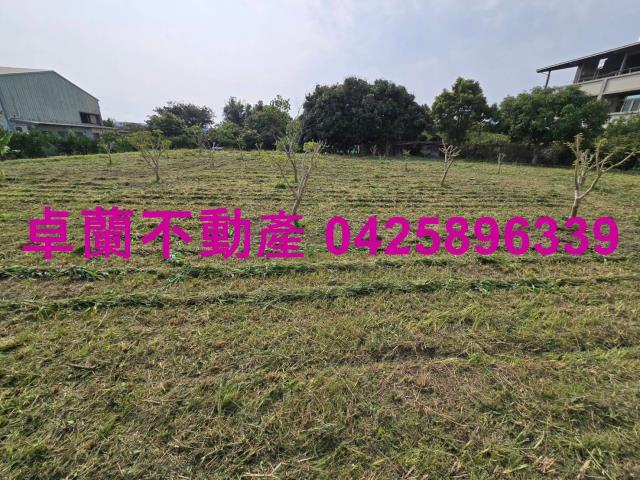 后里農地-13