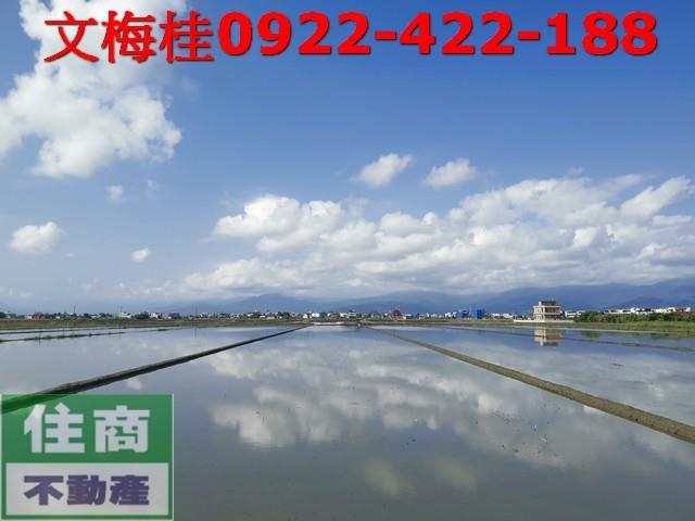 壯圍農地-1