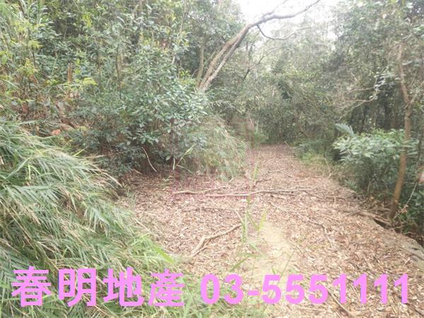 新竹農地-9
