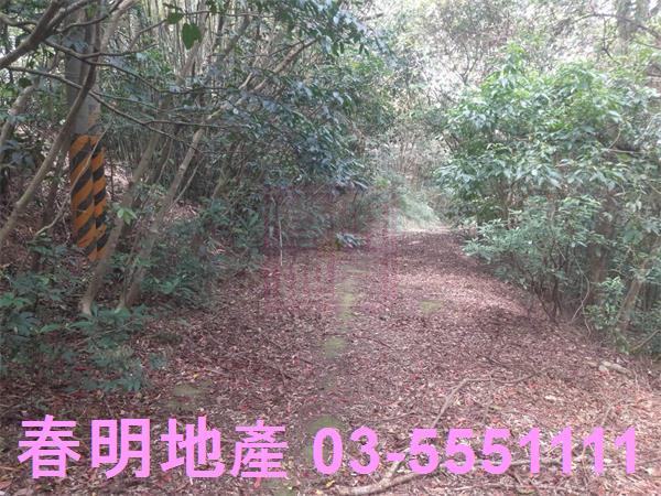 新竹農地-10