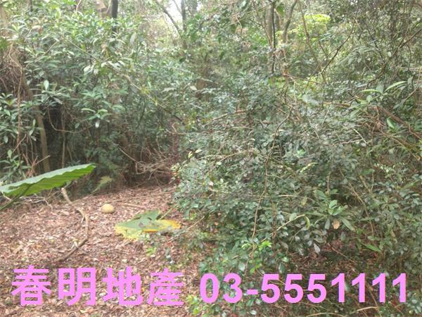 新竹農地-11