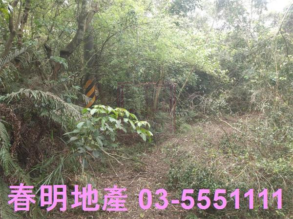新竹農地-12