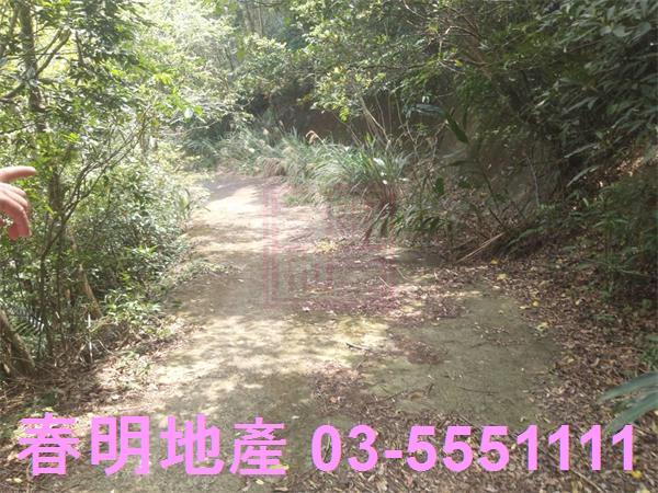 新竹農地-13