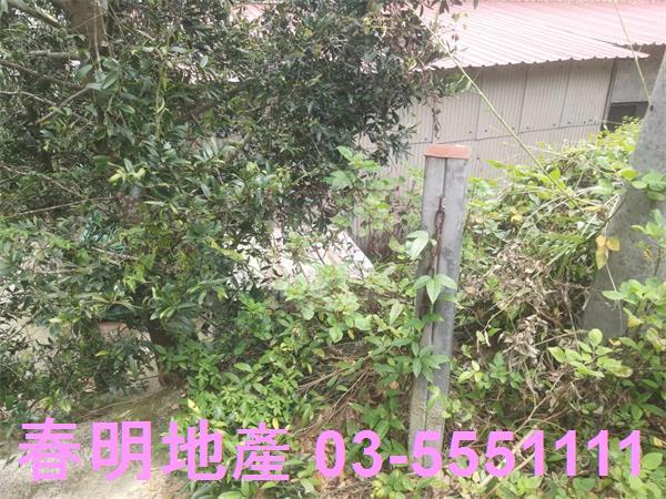 新竹農地-1