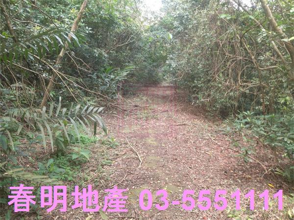 新竹農地-6