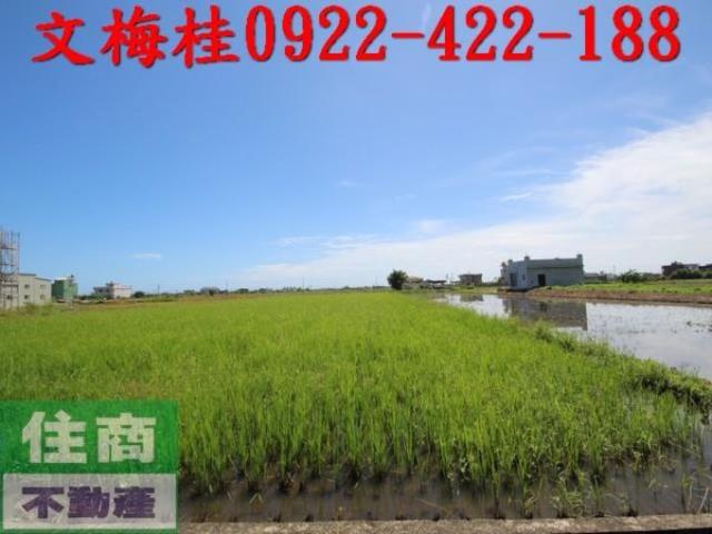 宜蘭礁溪農地-5