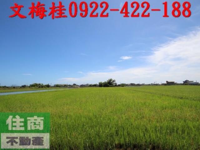 宜蘭礁溪農地-8