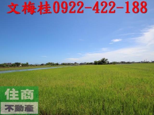 宜蘭礁溪農地-9