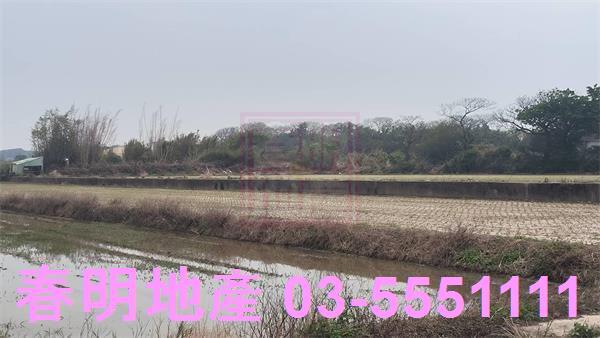 新豐農地-2