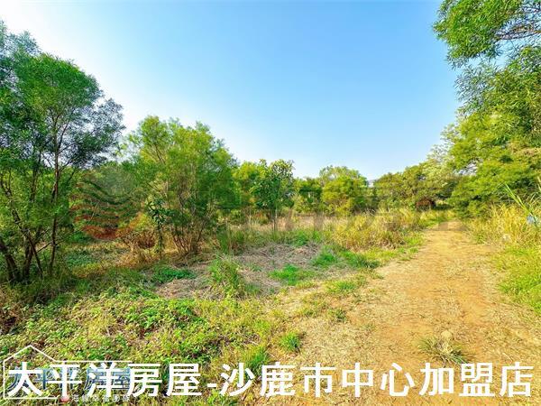 龍井保護地-1