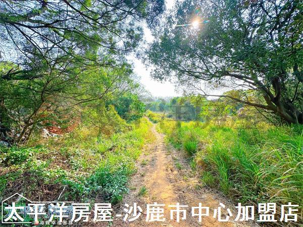 龍井保護地-5
