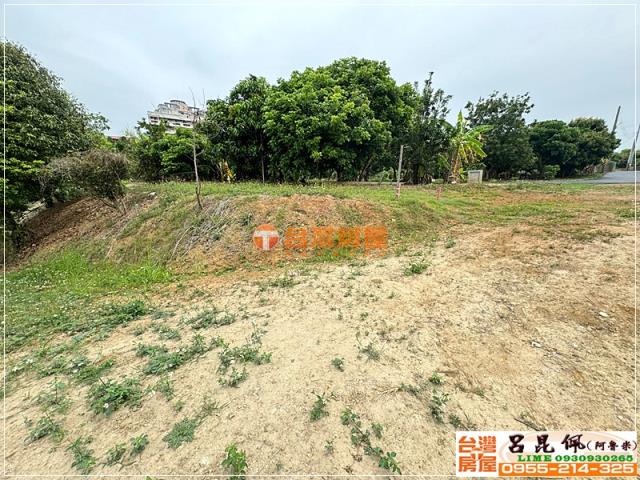 東區農地-3