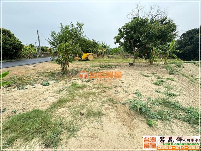 東區農地-6