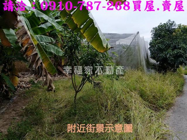 台南農地-5