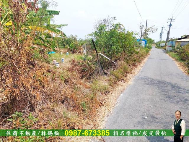 台南農地-1