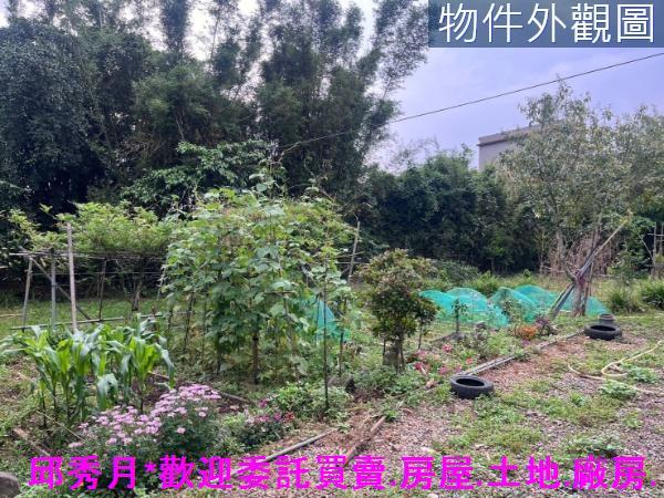 新北淡水農地-3