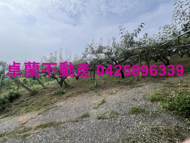 苗栗農地-2